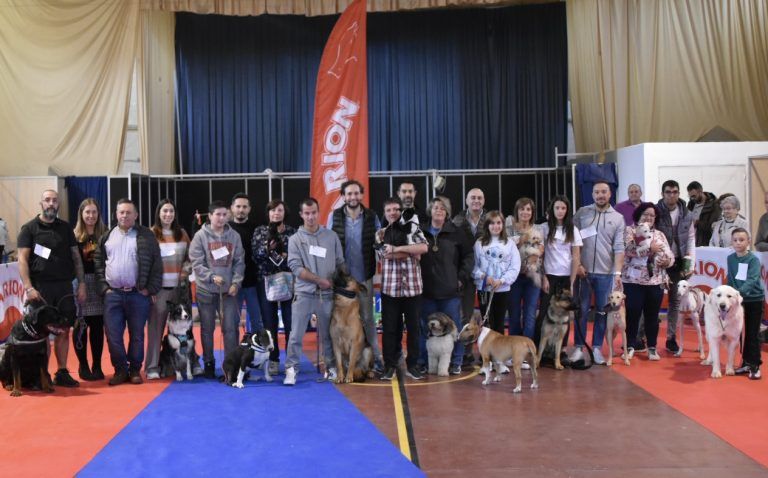 El Concurso de Belleza Canina ‘Ciudad de Monzón’ reúne a más de 100 perros