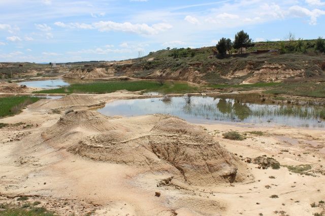 Olona, con trario a la creación de un parque nacional en Los Monegros