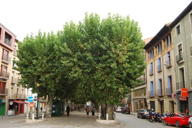 El Ayuntamiento de Barbastro iniciará la primera fase de la reforma del Paseo del Coso antes de verano reforma Paseo del Coso