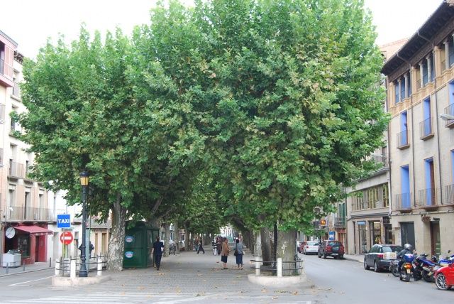Barbastro adjudica las obras del Plan Estatal para el Empleo y la Sostenibilidad obras barbastro