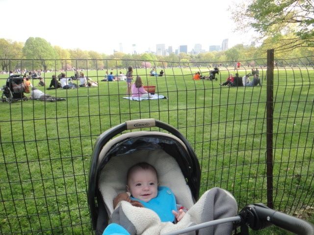 Una Bibendum en Nueva York 2. «Bubu en Central Park»
