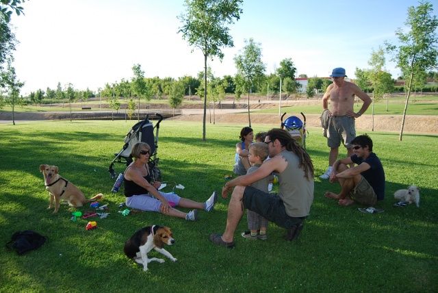 Ciudadanos Barbastro propone una ordenanza municipal específica para la tenencia responsable de animales domésticos monzon perros