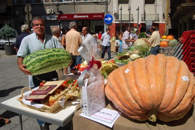 Fiestas San Mateo 2010