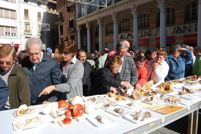 Abre sus puertas en Barbastro la Estación de Servicio Bellavista Bellavista Barbastro