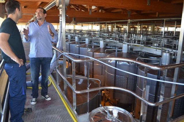 Somontano encara la recta final de su vendimia con una recolección de alrededor de 14 millones de kilos de uva