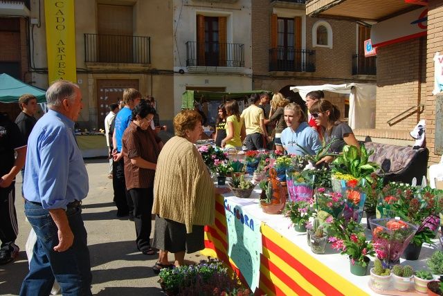 Feria Artesanía Alcolea Numeroso público compró en la feria de Alcolea. Foto JLP.