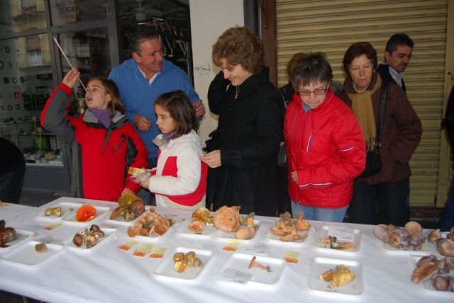El Centro de Estudios Somontano celebra la fiesta de las setas en Barbastro
