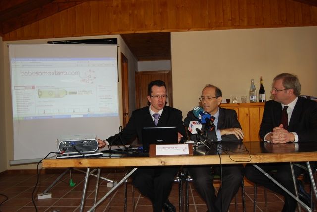 www.bebesomontano.com cumple su primer semestre en la red con excelentes resultados bebesomontano