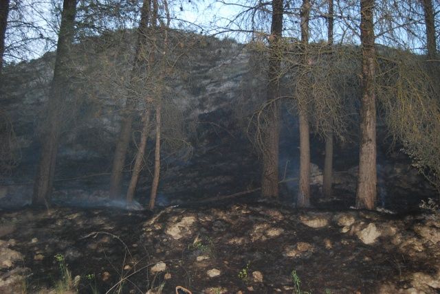 Un incendio arrasa una zona de pinares en las Valdorrias de Barbastro Valdorrias Barbastro