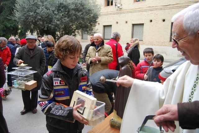 La cofradía de San Antonio Abad celebra la tradicional bendición de animales en Barbastro