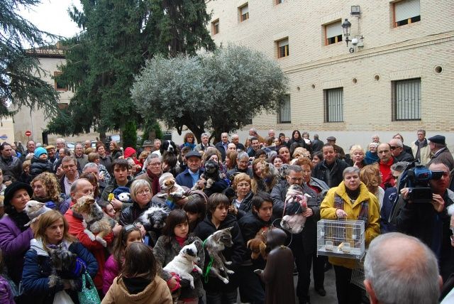 Decenas de mascotas reciben en Barbastro la bendición de San Antonio Abad barbastro San Antonio Abad