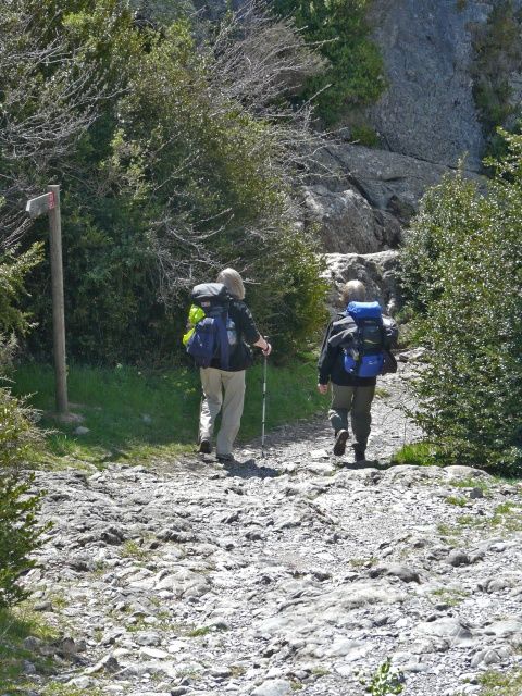 El Camino de Santiago, un camino que cuenta en Aragón