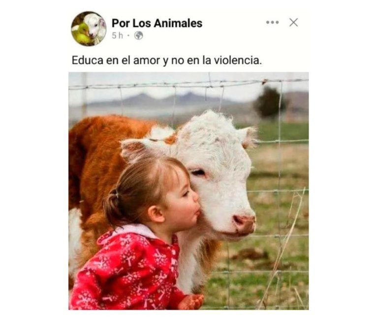 Sadismo y niños horrorizados en la plaza de toros de Barbastro
