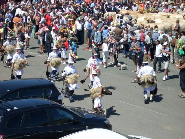 Fiesta tres vacas