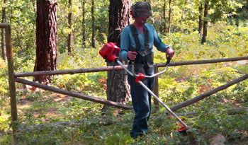 Un trabajador, limpiando el bosque. Foto S.E. Un trabajador, limpiando el bosque. Foto S.E.