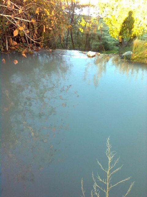 Acequias anegadas en las huertas de Estada