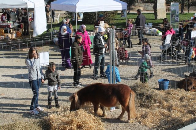 Buena acogida de la I feria agroganadera de Santa Bárbara en Monzón