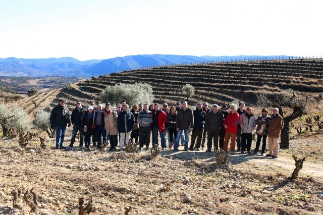 El Somontano recibe en 2011 más visitantes extranjeros