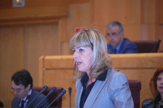 El PSOE en el Senado subraya la gestión del gobierno en el impulso del sector vitivinícola y defiende la calidad de los vinos de nuestro país