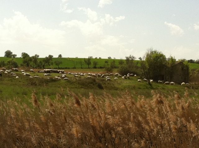 ayudas empresas rural aragón