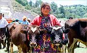 José Luis Pascual Guatemala Muchacah en el mercado de animales de San Critóbal.