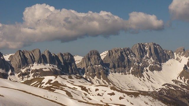 Camille ha desaparecido y con él la presencia permanente del oso en el Pirineo aragonés y navarro