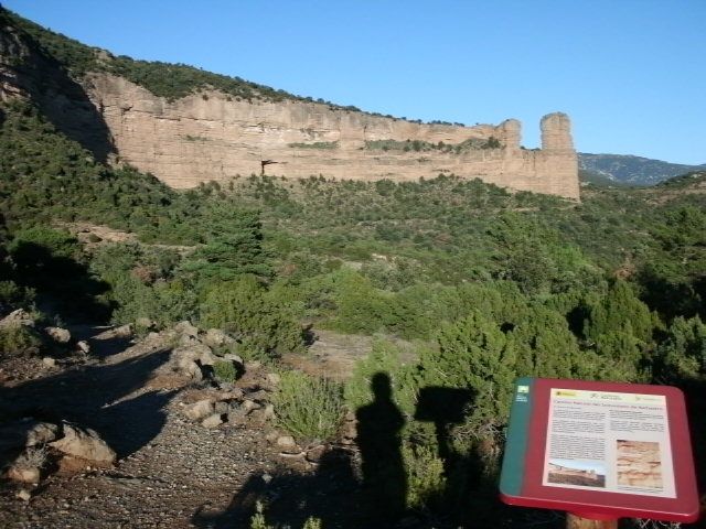 Morrano