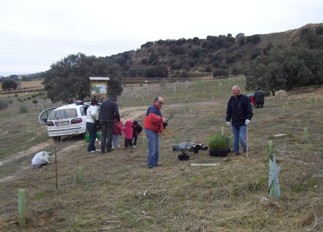 Comienza la temporada de plantaciones de árboles en Binéfar