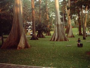 José Luis Pascual Guatemala Este departamento es uno de los más importantes de Guatemala por su riqueza natural.