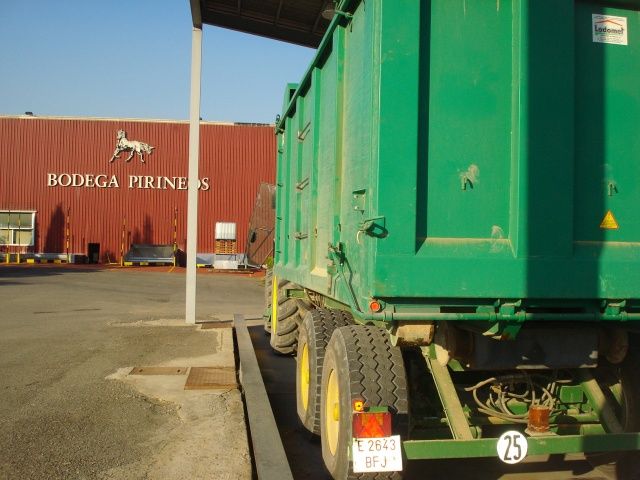 Bodega Pirineos, del Grupo Barbadillo, comienza la vendimia 2015