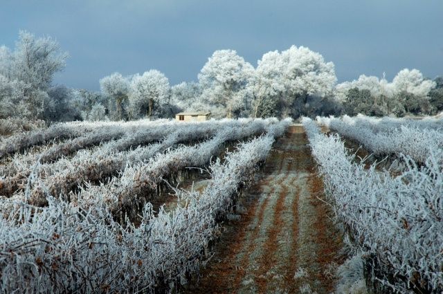 La Ruta del Vino Somontano recibe más de 47.000 visitas