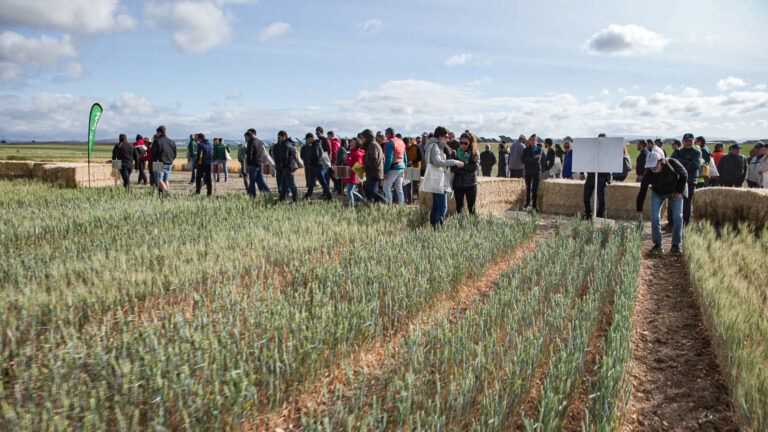 Cultiva Barbastro Ronda Somontano