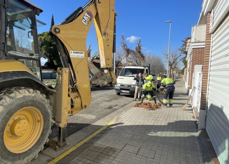 El Ayuntamiento de Monzón repone más de 100 árboles