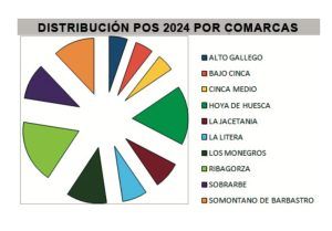 plan obras dph 2024