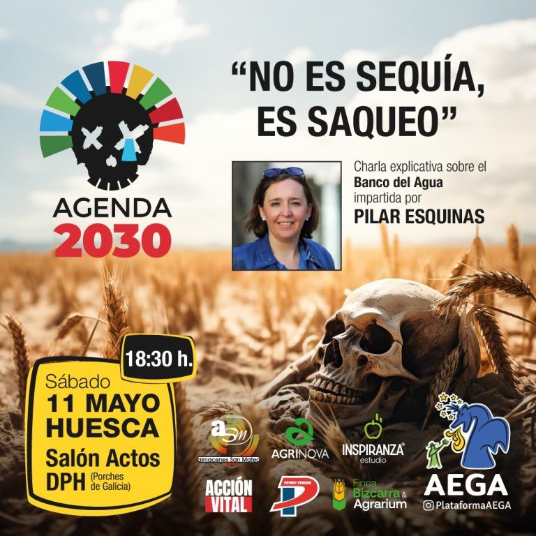 AEGA Pilar Esquinas