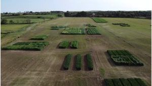 Cultiva Barbastro