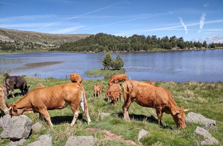 Crónica viajera de Gema Abad: viaje por tierras de Soria y por el Parque Natural Lagunas de Neila