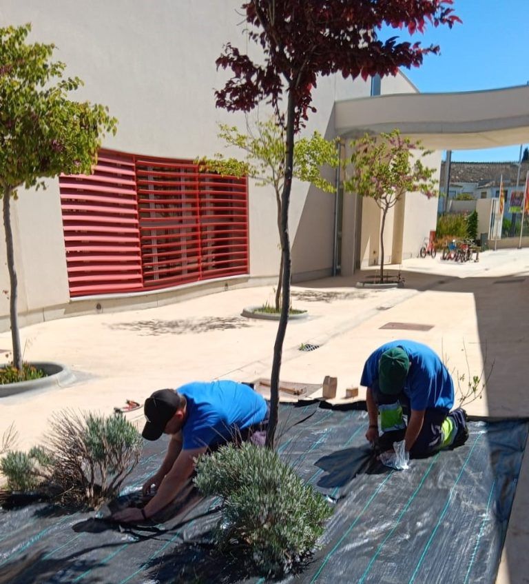 Binéfar recupera zonas verdes y realiza un estudio del ecosistema gracias al programa JOVEM FSE Aragón 2021-2027 JOVEM FSE Aragón Binéfar