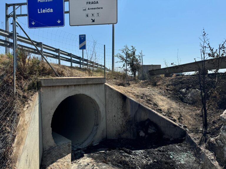 binéfar accidente