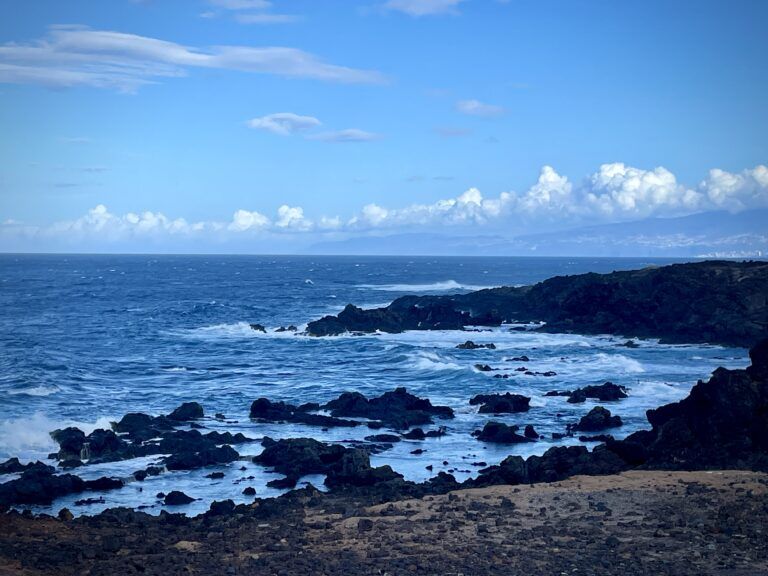 Huir al Monte Tenerife.