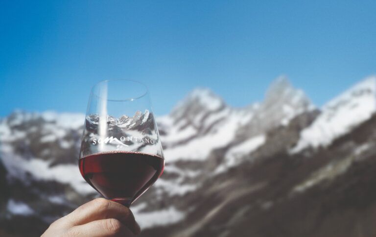 VinoSomontano.