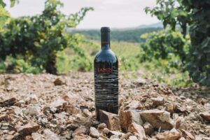 Lamín, de Bodega Sommos.