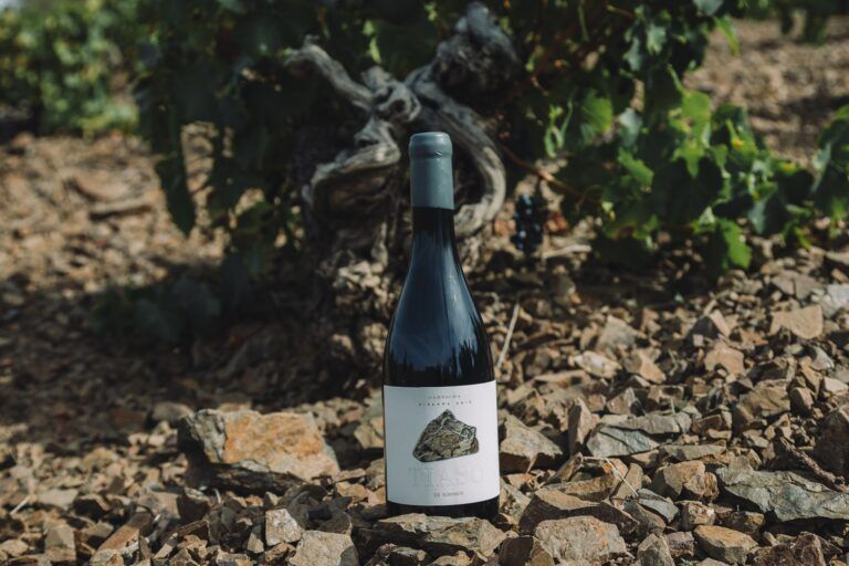 Tiaso 2021, de Sommos Garnacha, el vino mejor valorado en el especial “tintos de Aragón” de la prestigiosa revista británica Decanter