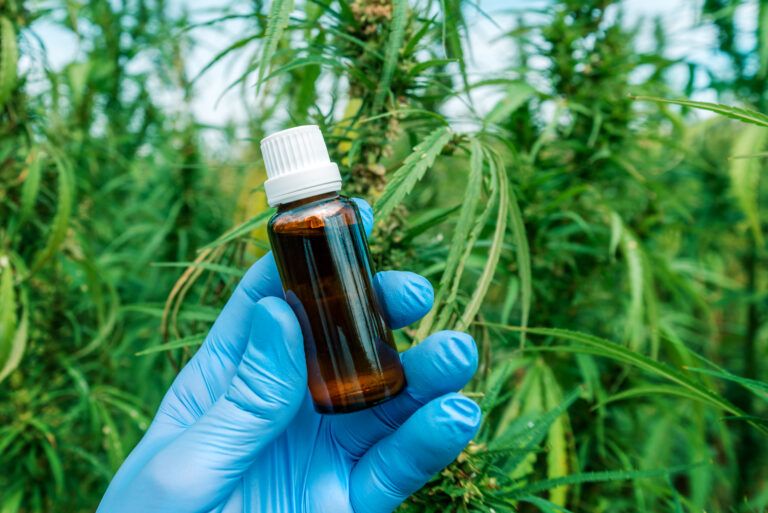 Pre-rollos de CBD: la solución natural para relajarte CBD
