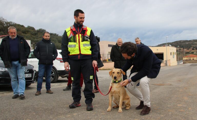 bomberos DPH guía perros