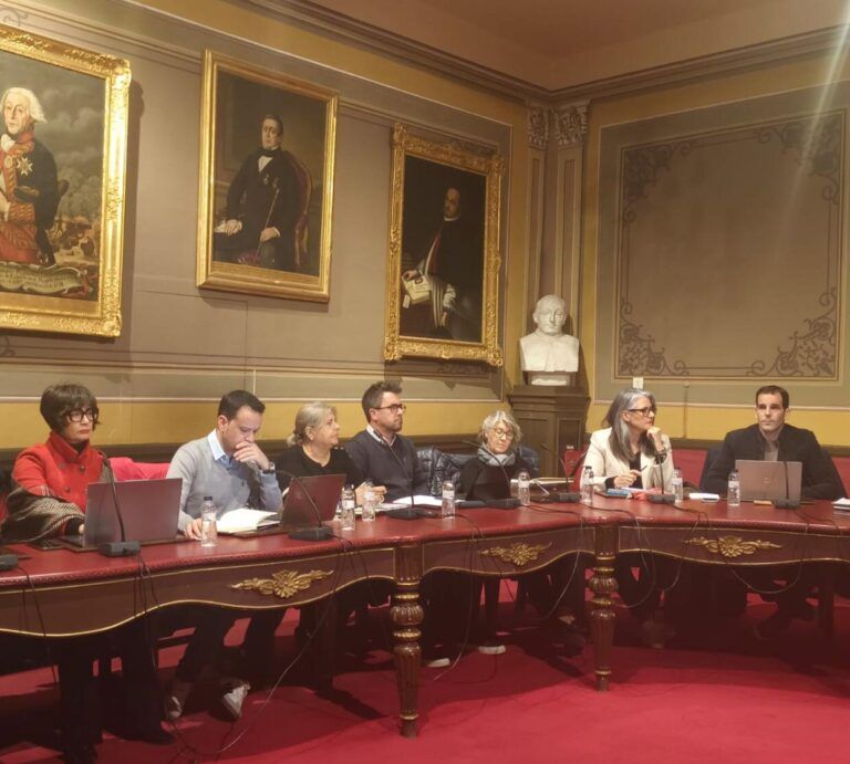 El pleno de Barbastro aprueba las propuestas del PSOE sobre instalación de placas solares y conservación del patrimonio Grupo municipal socialista.
