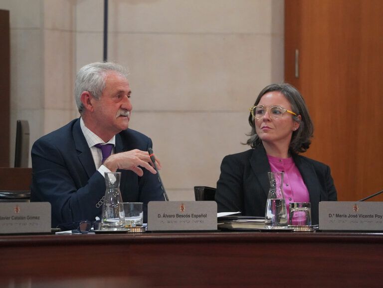 El PSOE de la DPH niega por primera vez su apoyo al POS PP DPH