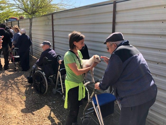 El Núcleo Zoológico IRIS lanza una campaña de crowdfunding para construir un nuevo refugio en El Grado zoologico iris