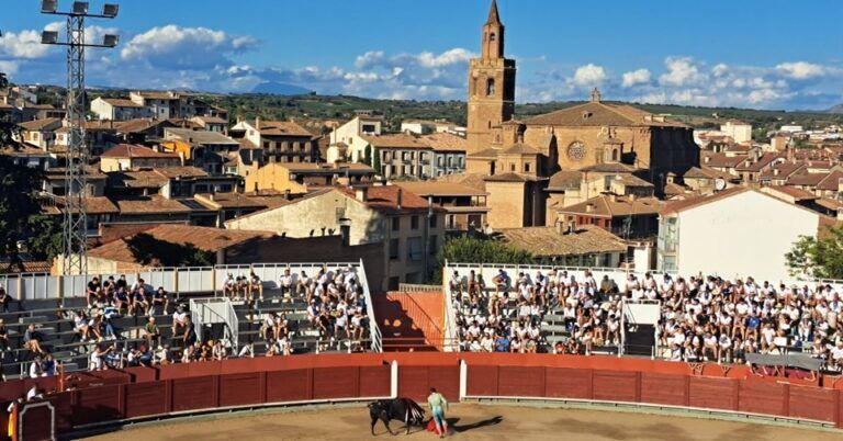 El Ayuntamiento de Barbastro invierte 87.120 euros en la ampliación del graderío de la Plaza de Toros plaza toros barbastro