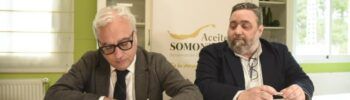 aceite somontano